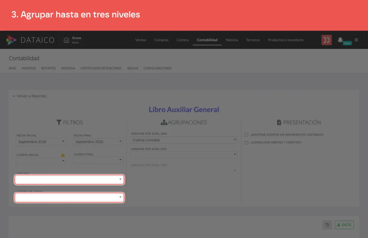 Los niveles de agrupación del libro auxiliar