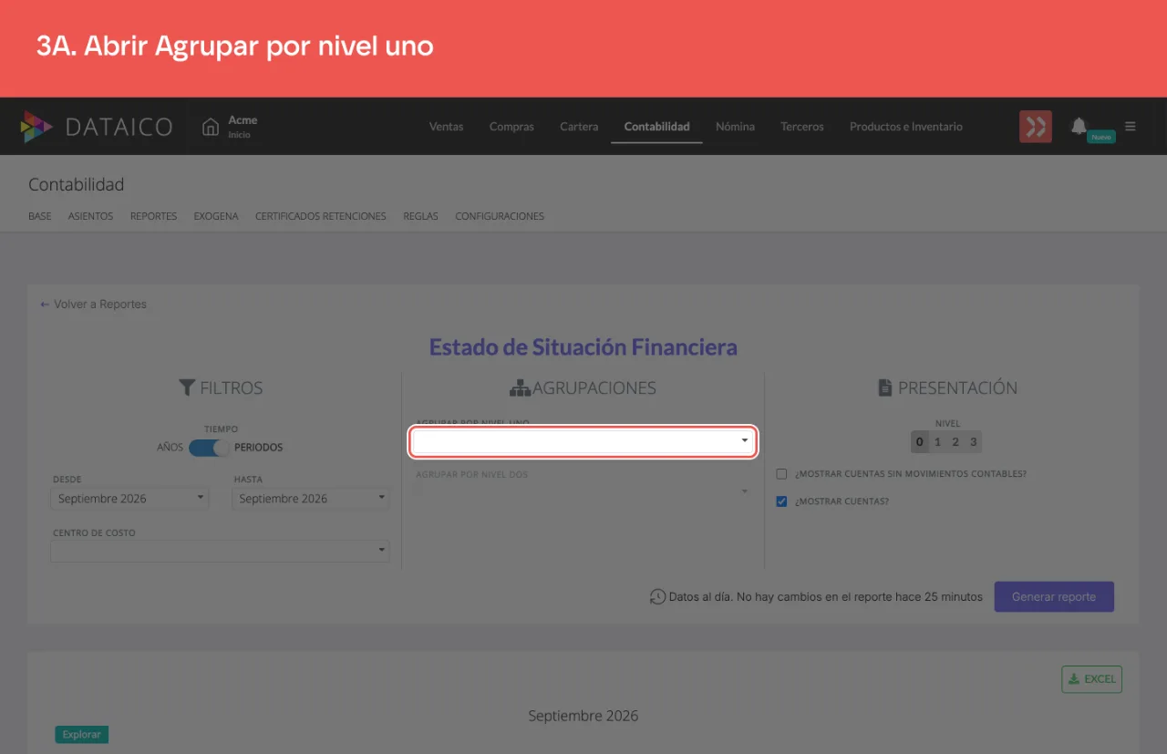El selector de agrupación por nivel uno